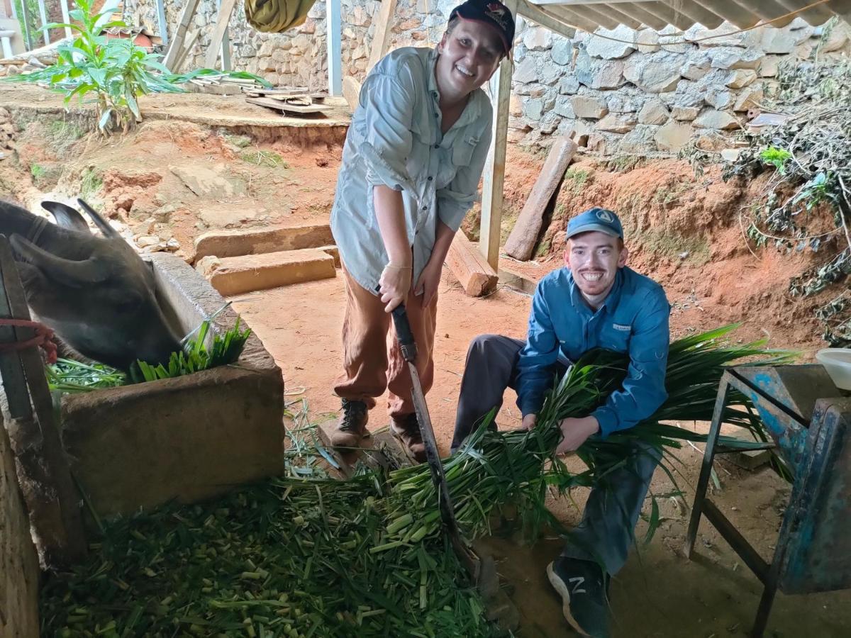Indigenous homestay Mu Cang Chai Buitenkant foto