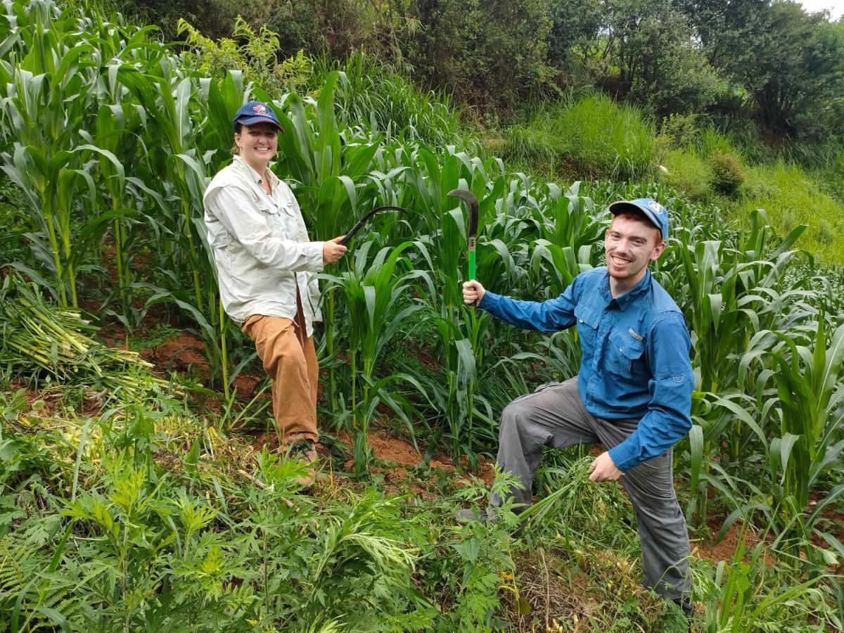 Indigenous homestay Mu Cang Chai Buitenkant foto