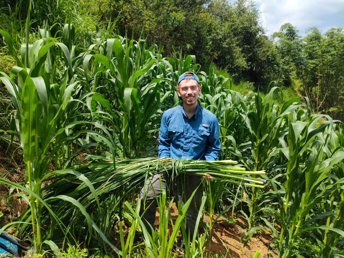 Indigenous homestay Mu Cang Chai Buitenkant foto