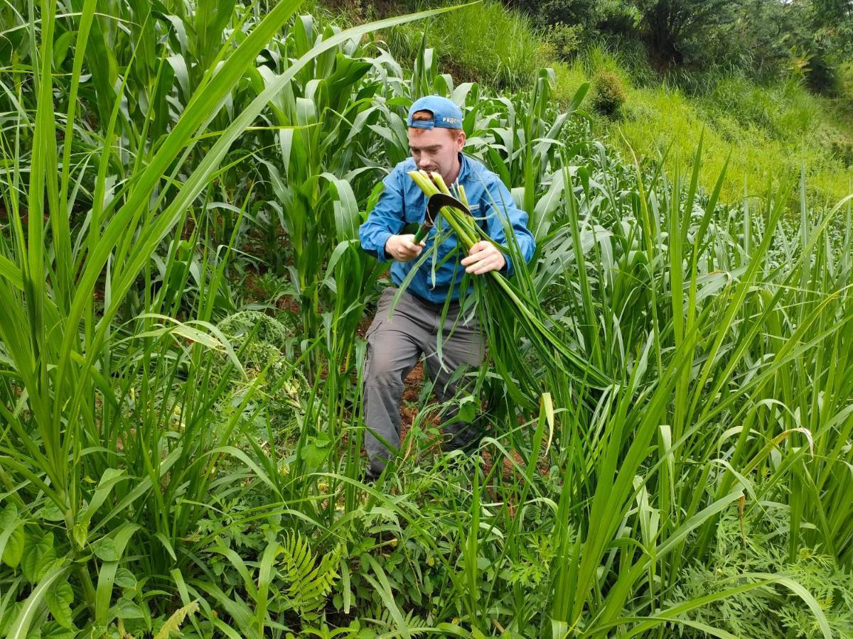 Indigenous homestay Mu Cang Chai Buitenkant foto