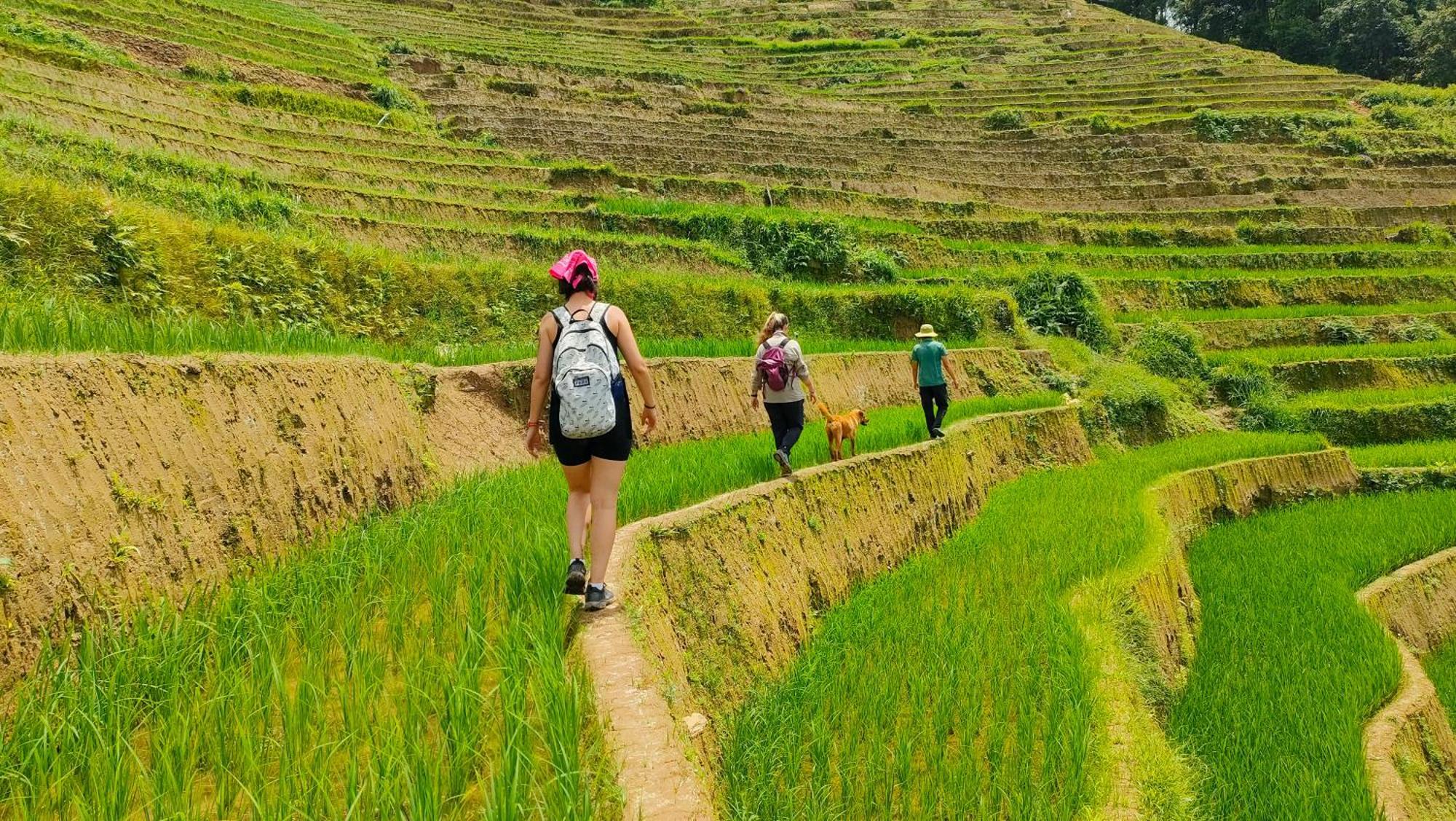 Indigenous homestay Mu Cang Chai Buitenkant foto